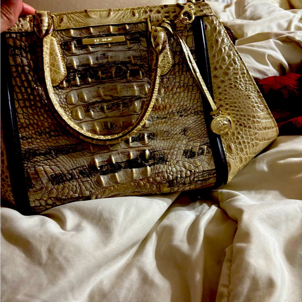 Brahmin handbag